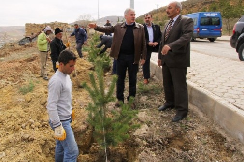 Yeşil Bayburt İçin Çalışmalar Devam Ediyor