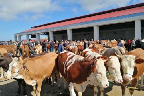 BAYBURT’TA KURBAN BAYRAMI HEYECANI