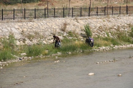 Çoruh, Çöplerden Arındırılıyor