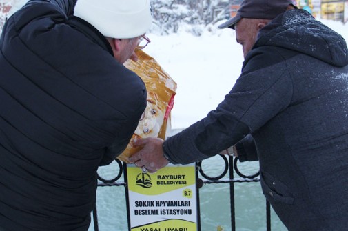 BELEDİYEMİZ SOKAK HAYVANLARINI İHMAL ETMİYOR