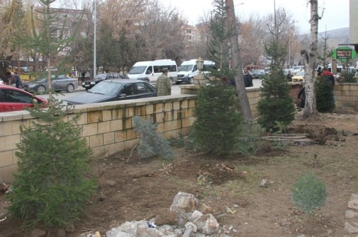 Belediyemizden Ağaçlandırma Çalışması